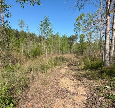 2125 Hwy 247, Belton, SC