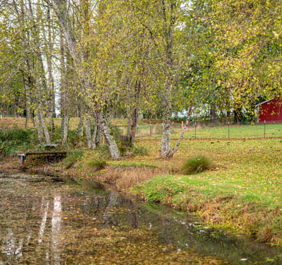 37902 SE Porter Road, Estacada, OR