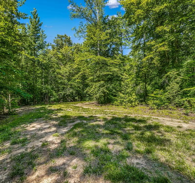 626 Long Meadow Drive, Fredericksburg, VA