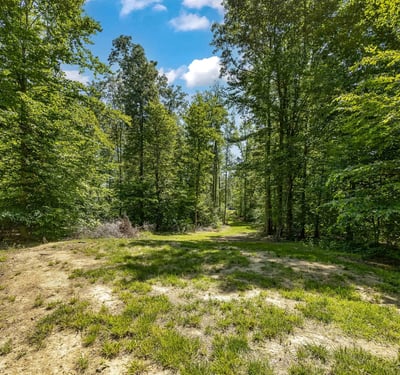 626 Long Meadow Drive, Fredericksburg, VA