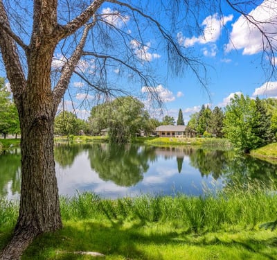 576 E Riverchase Way, Eagle, ID