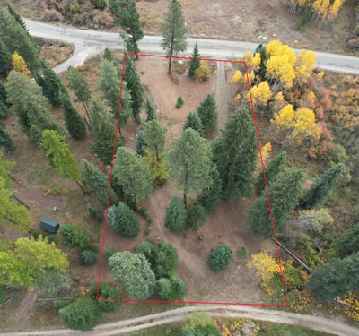 1608 Bear Trail Loop, Cascade, ID