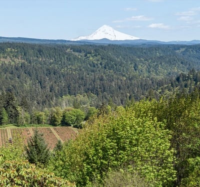 7428 SE Cottrell Rd, Gresham, OR