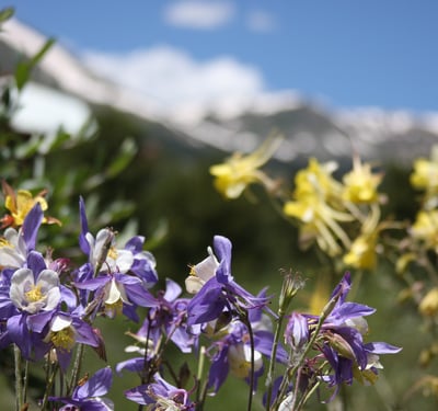 112 N. Pine Street, Breckenridge, CO