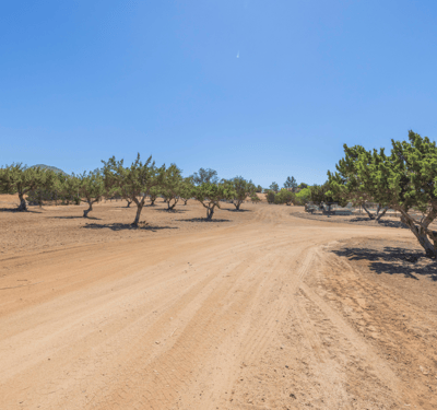 2727 Sache Street, Acton, CA
