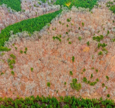 Lot 4 Deer Hollow Dr, Gold Hill, NC