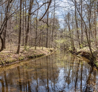 825 Oxbow Crossing, Chapel Hill, NC