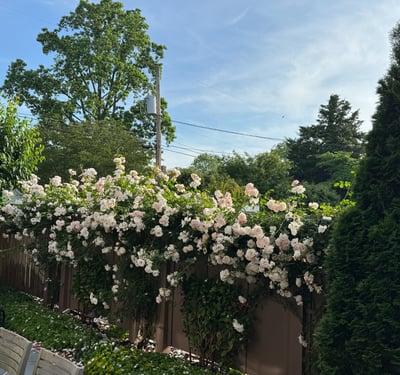 203 E. Chew Avenue, St. Michaels, MD