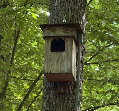 A truly special piece of the property s story: this barred owl nesting box has welcomed nesting owls almost every year for the past 16 years, with babies often making their spring debut. A webcam offers a front-row view of this quiet backyard tradition one more way this home feels connected to nature.
