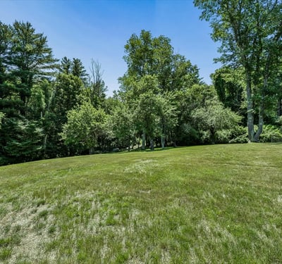Spacious, well-maintained lot surrounded by lush trees, perfect for your future dream home or retreat.