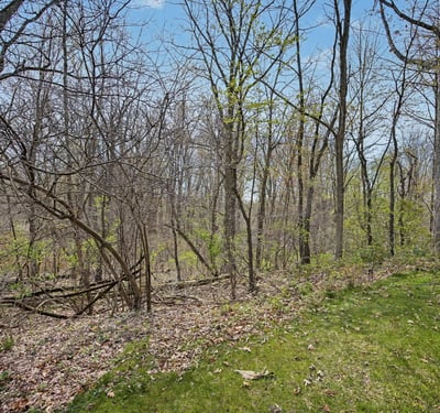 7151 Steeplechase Way, 41, Lansing, MI