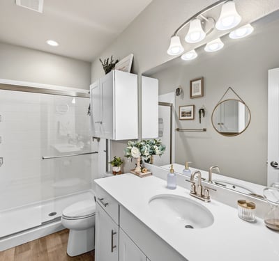 Basement Bathroom