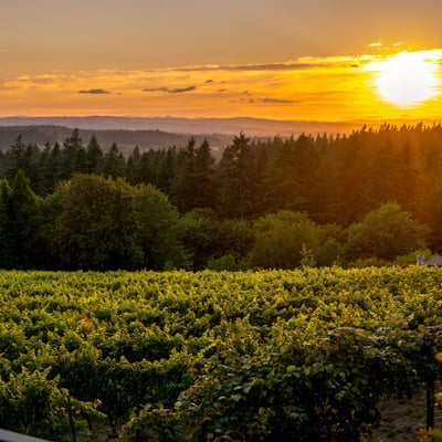 21510 S Wisteria Road, West Linn, OR