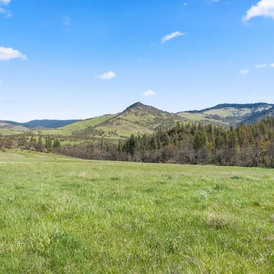 Buckhorn Road #1000, Ashland, OR
