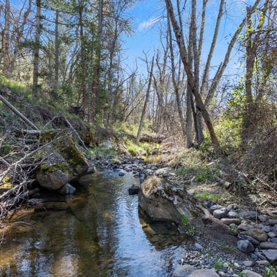 Buckhorn Road #1000, Ashland, OR