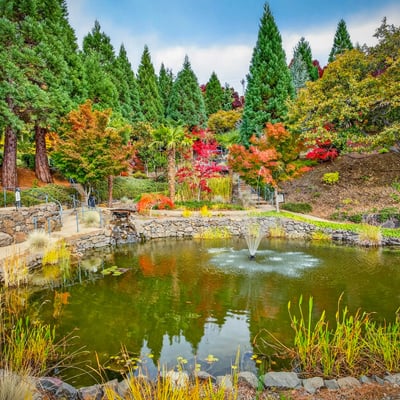 200 Belle Fiore Ln, Ashland, OR