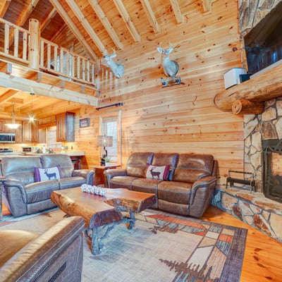 138 Lucius Lane, Cherry Log, GA