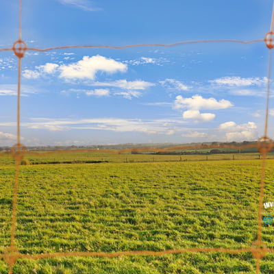 Expansive green fields under a bright sky, ideal for agricultural development or recreational living.