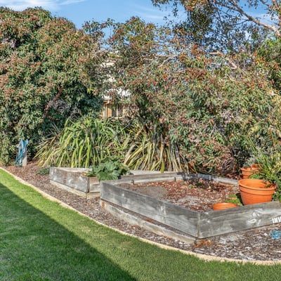 Lush garden area featuring raised beds and vibrant foliage, perfect for gardening enthusiasts and outdoor lovers.