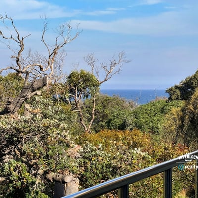 Stunning coastal view framed by lush greenery, perfect for nature enthusiasts seeking tranquility and escape.
