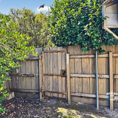 Discover a unique outdoor space featuring rustic fencing and natural greenery, perfect for private relaxation.