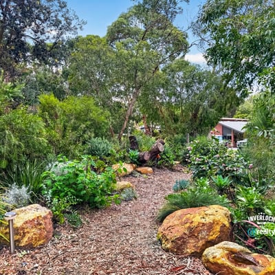 Discover a lush, vibrant garden path featuring diverse flora and natural stone accents, perfect for nature lovers.