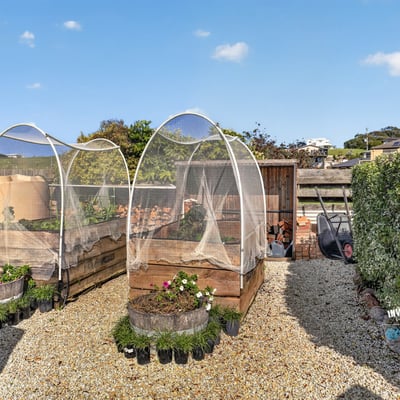 Discover this unique backyard space, featuring well-designed garden beds and protective structures for thriving plants.