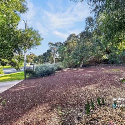 Spacious lot featuring mature trees and ample outdoor space, perfect for your future home design.