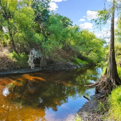 8096 SW Golden Glade Ave, Arcadia, FL
