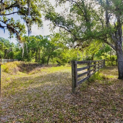 8096 SW Golden Glade Ave, Arcadia, FL