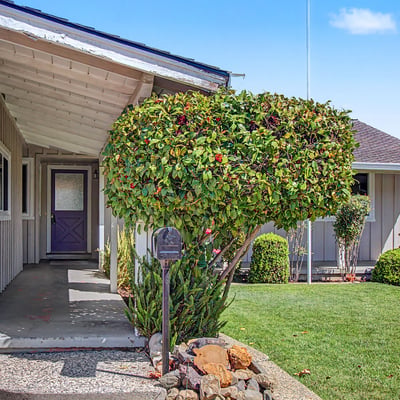 1631 Petri Place , San Jose, CA
