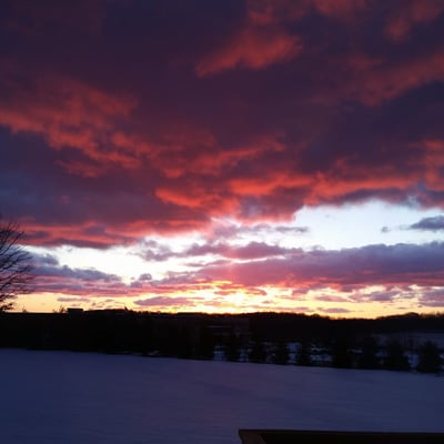 A dramatic winter sunrise over the serene snow-blanketed yard.