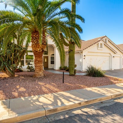 Beautifully landscaped Scottsdale front yard featuring mature palms, cactus accents, and low-maintenance gravel landscaping. This desert-inspired design complements the home's architecture while enhancing curb appeal.