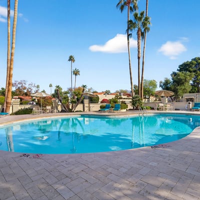 Resort-style pool surrounded by lounge seating and mature landscaping, creating a relaxing atmosphere for residents.