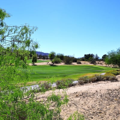 Backyard setting with expansive golf course views, desert landscaping, and mature greenery. This Phoenix home offers a tranquil outdoor environment with open space.
