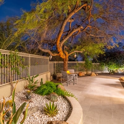 Low-maintenance Scottsdale landscaping with native plants, decorative rock, and a spacious patio walkway designed for beauty and efficiency.
