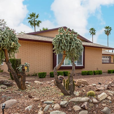Unique desert garden with mature cacti and rock accents. This Sun City home offers beautiful curb appeal with water-efficient landscaping.