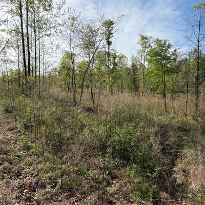 2125 Hwy 247, Belton, SC