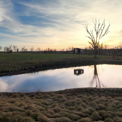 North pond looking west
