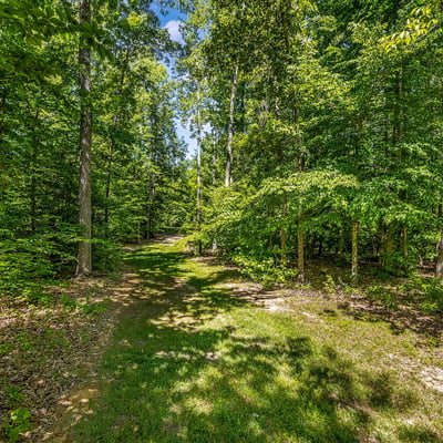 626 Long Meadow Drive, Fredericksburg, VA