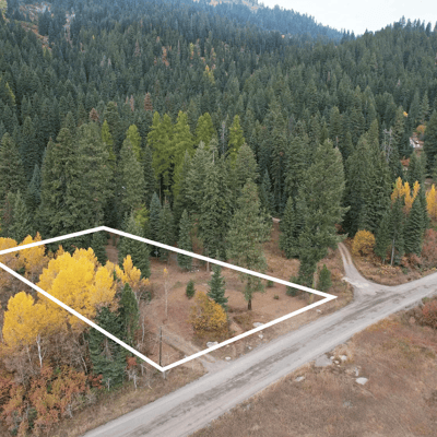 1608 Bear Trail Loop, Cascade, ID