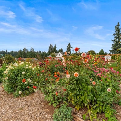 13950 S John Wayne Lane, Mulino, OR