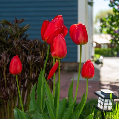 131 Faraday St, Monte Vista, CO
