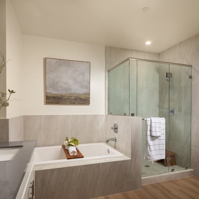 Master Bathroom Has Separate Shower Room and Bathtub