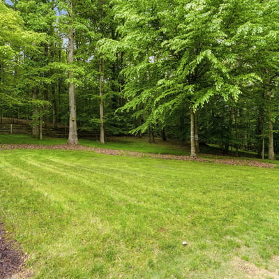 Expansive green yard surrounded by lush trees, perfect for outdoor activities and creating your dream oasis.