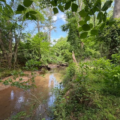 Lush greenery surrounds this peaceful creek, offering a natural retreat and prime opportunity for outdoor activities.