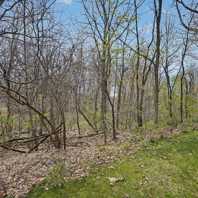 7151 Steeplechase Way, 41, Lansing, MI