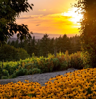 21510 S Wisteria Road, West Linn, OR