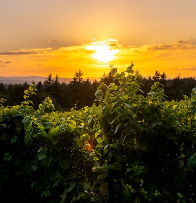 21510 S Wisteria Road, West Linn, OR