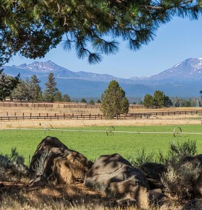 68405 Fryrear Road, Sisters, OR